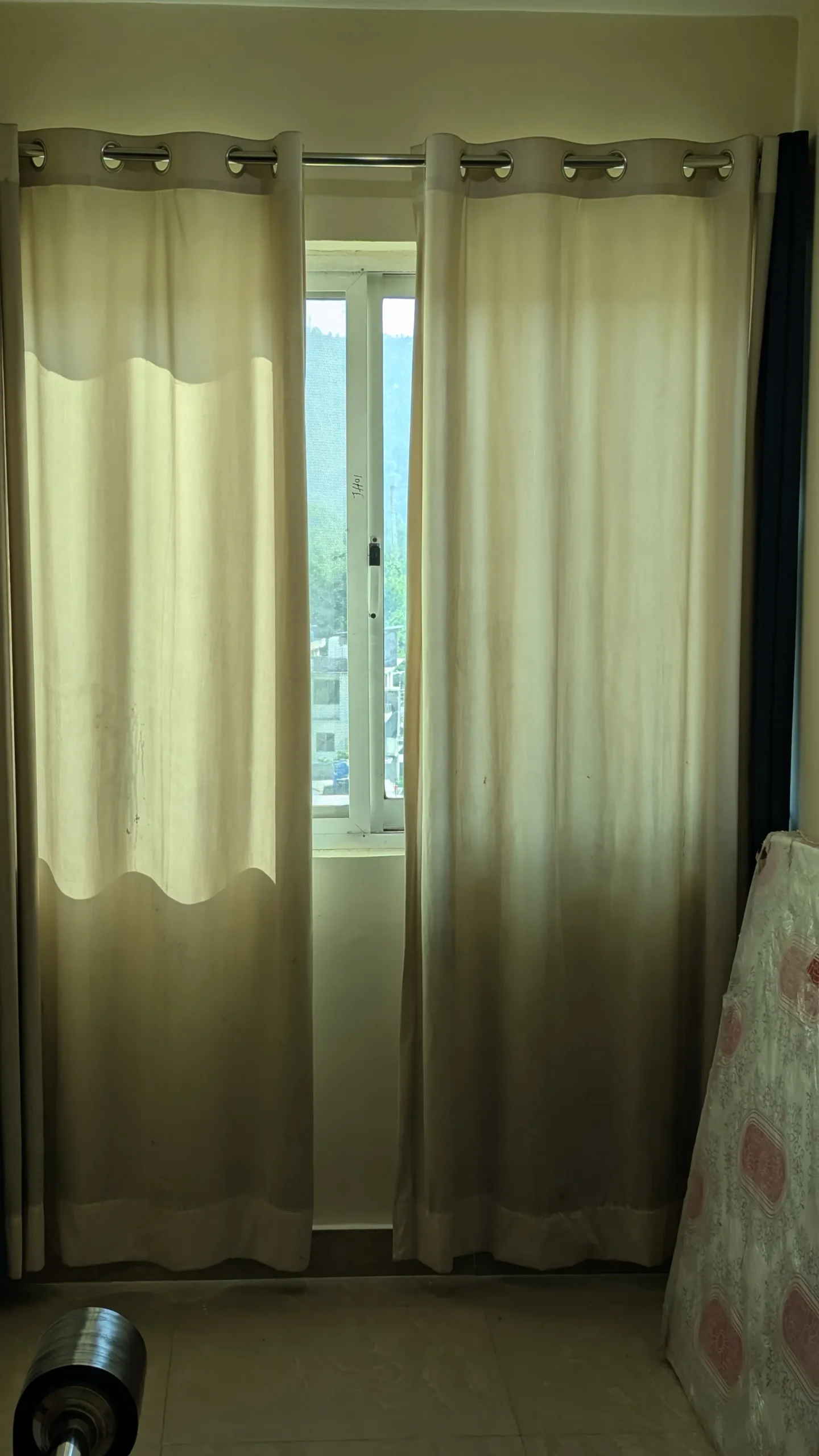 PXL_20260524_112614758.NIGHT.jpg